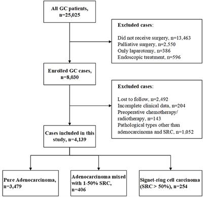 Prognostic Significance of Signet-Ring Cell Components in Patients With Gastric Carcinoma of Different Stages